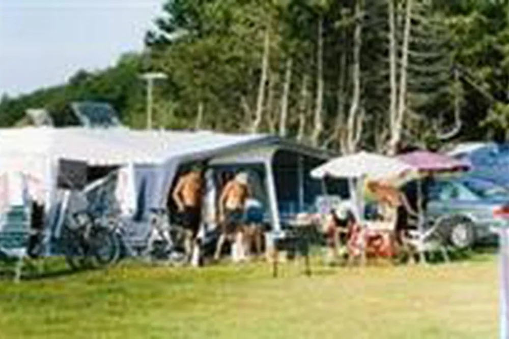 Sælvigbugtens Camping