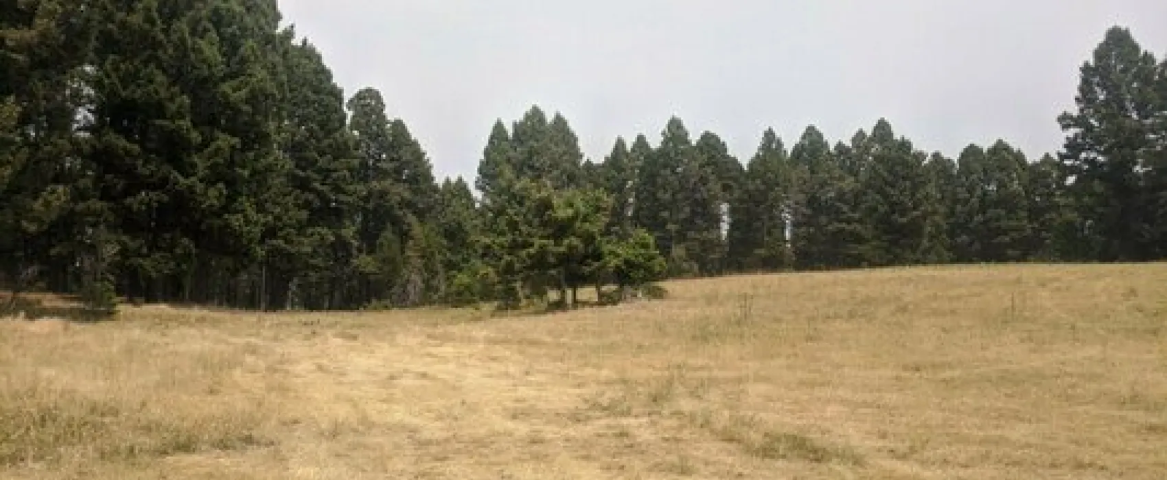 Elliston Gulch Dispersed Camping