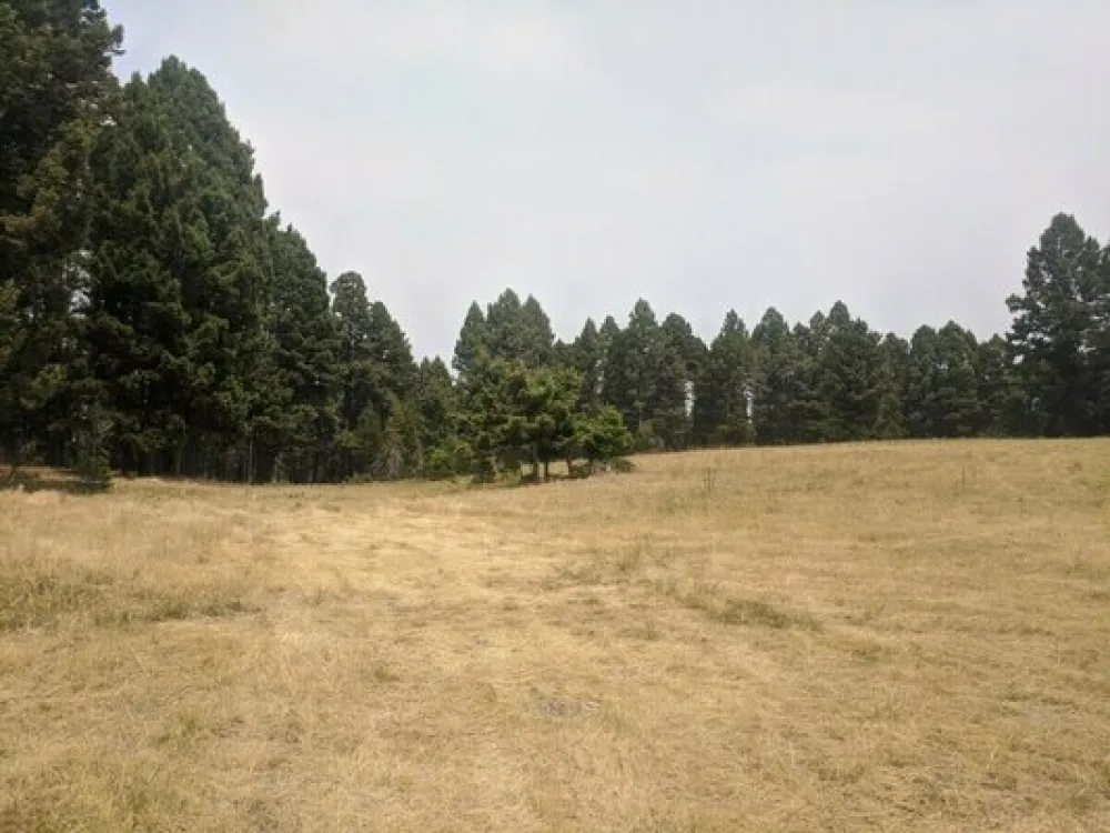 Elliston Gulch Dispersed Camping