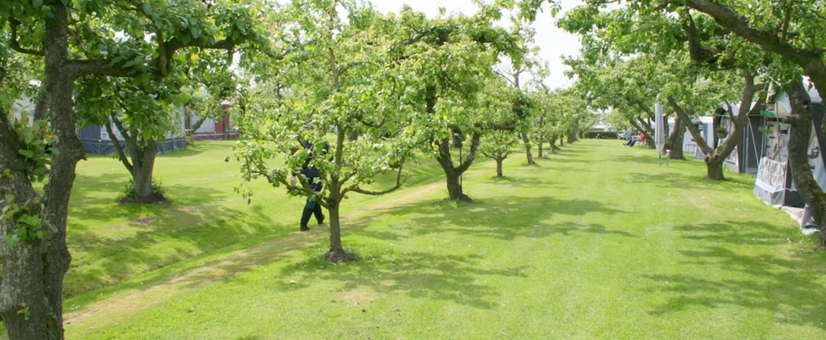 SVR camping De Victorie
