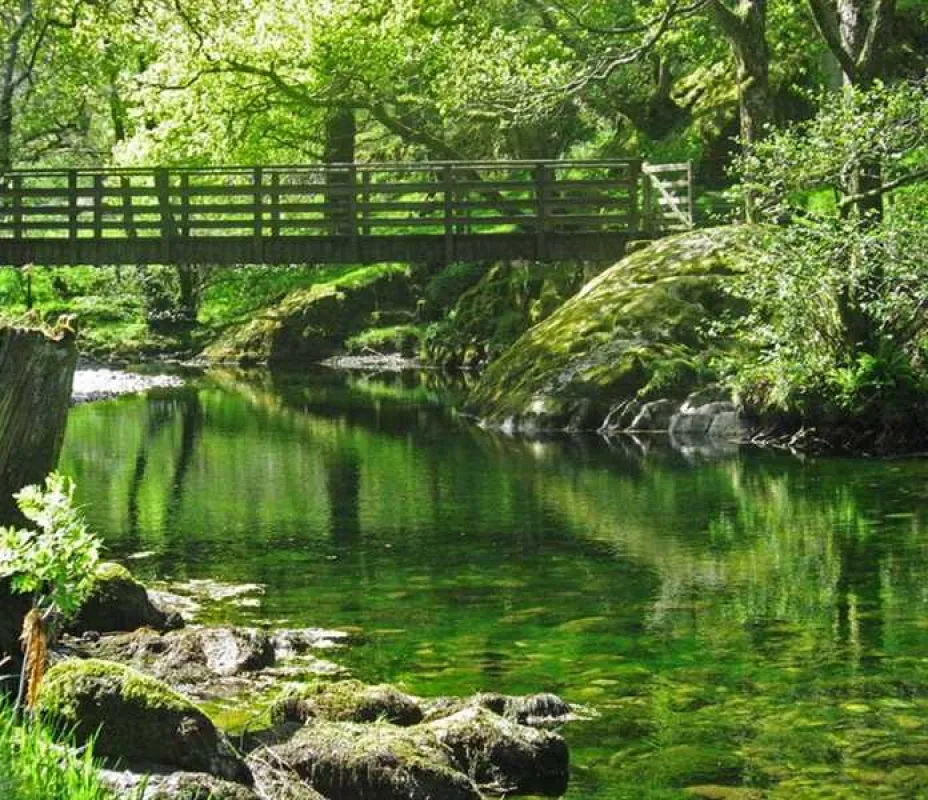 Inside Out Camping @ Seatoller Farm