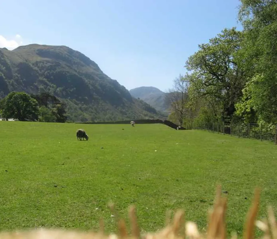 Inside Out Camping @ Seatoller Farm