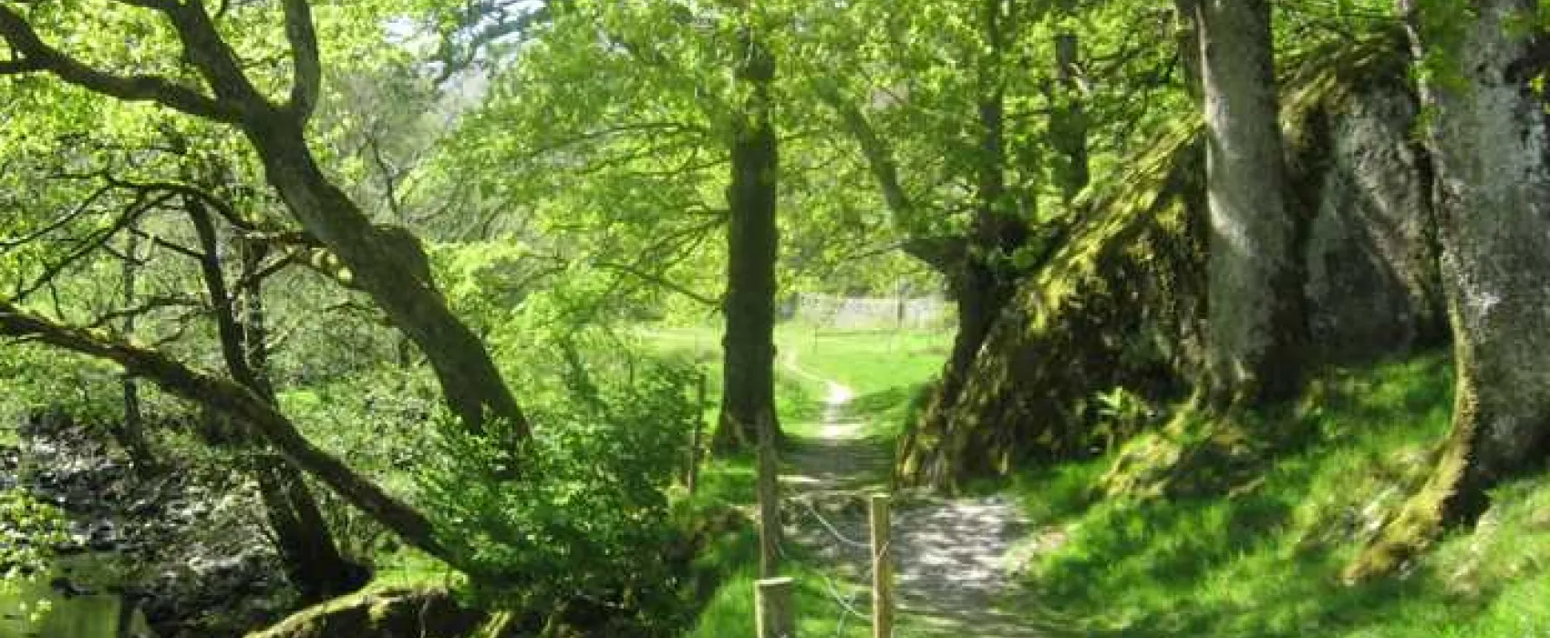 Inside Out Camping @ Seatoller Farm