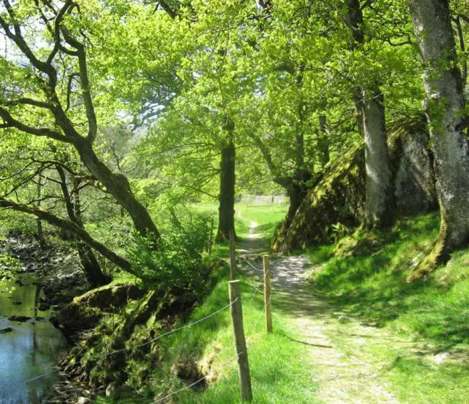 Inside Out Camping @ Seatoller Farm