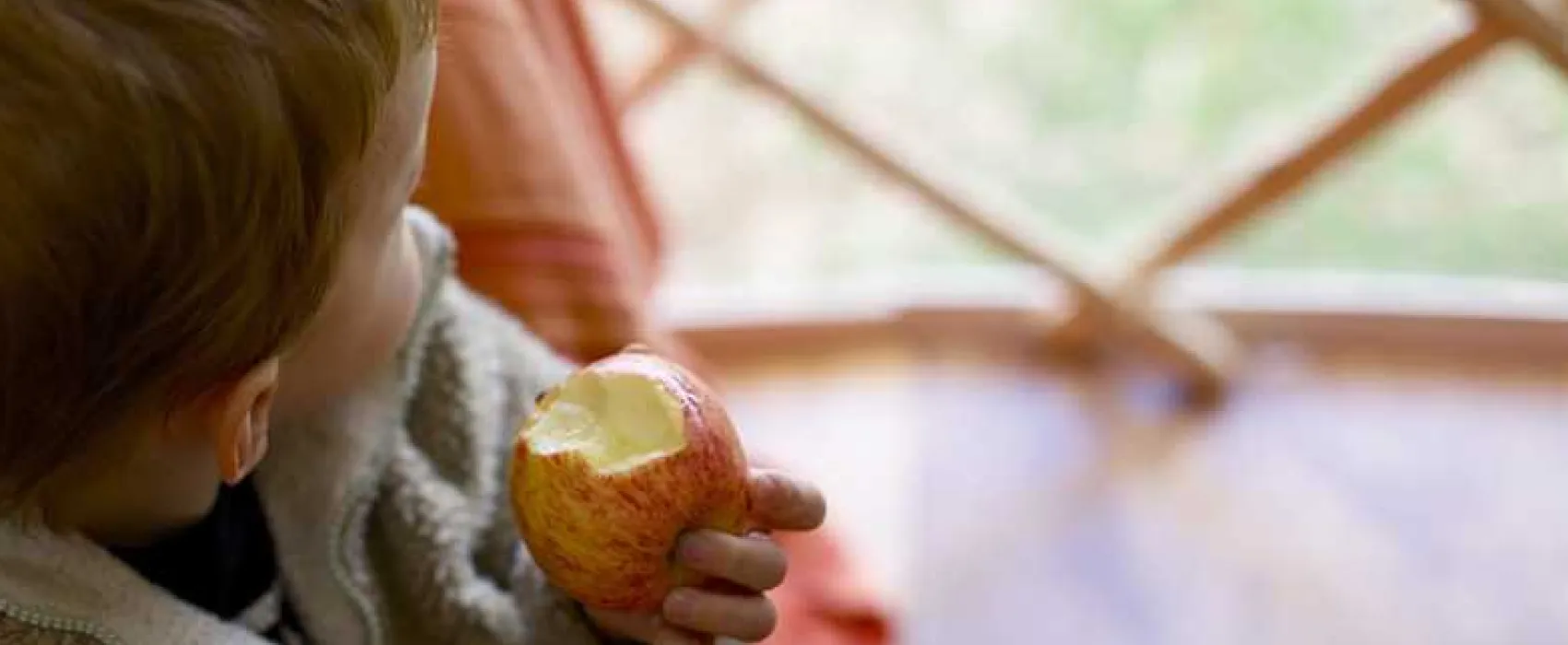 Inside Out Camping @ Seatoller Farm