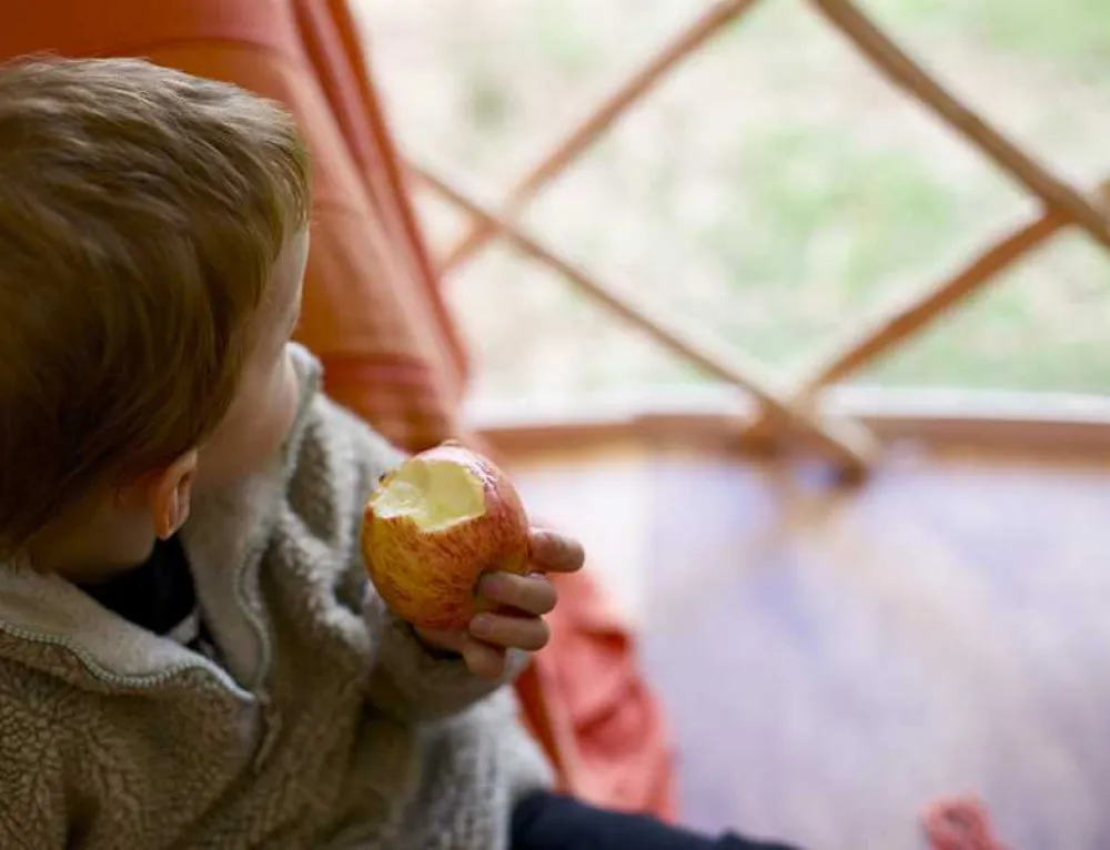 Inside Out Camping @ Seatoller Farm