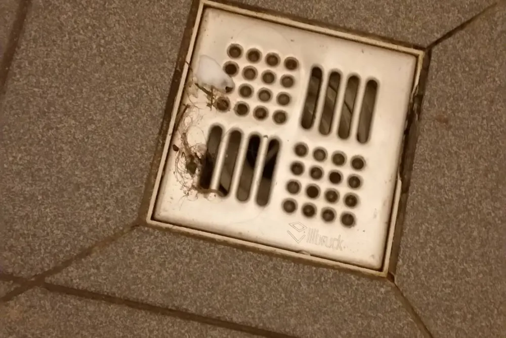 Campingplatz ABC am Großensee b. Hamburg