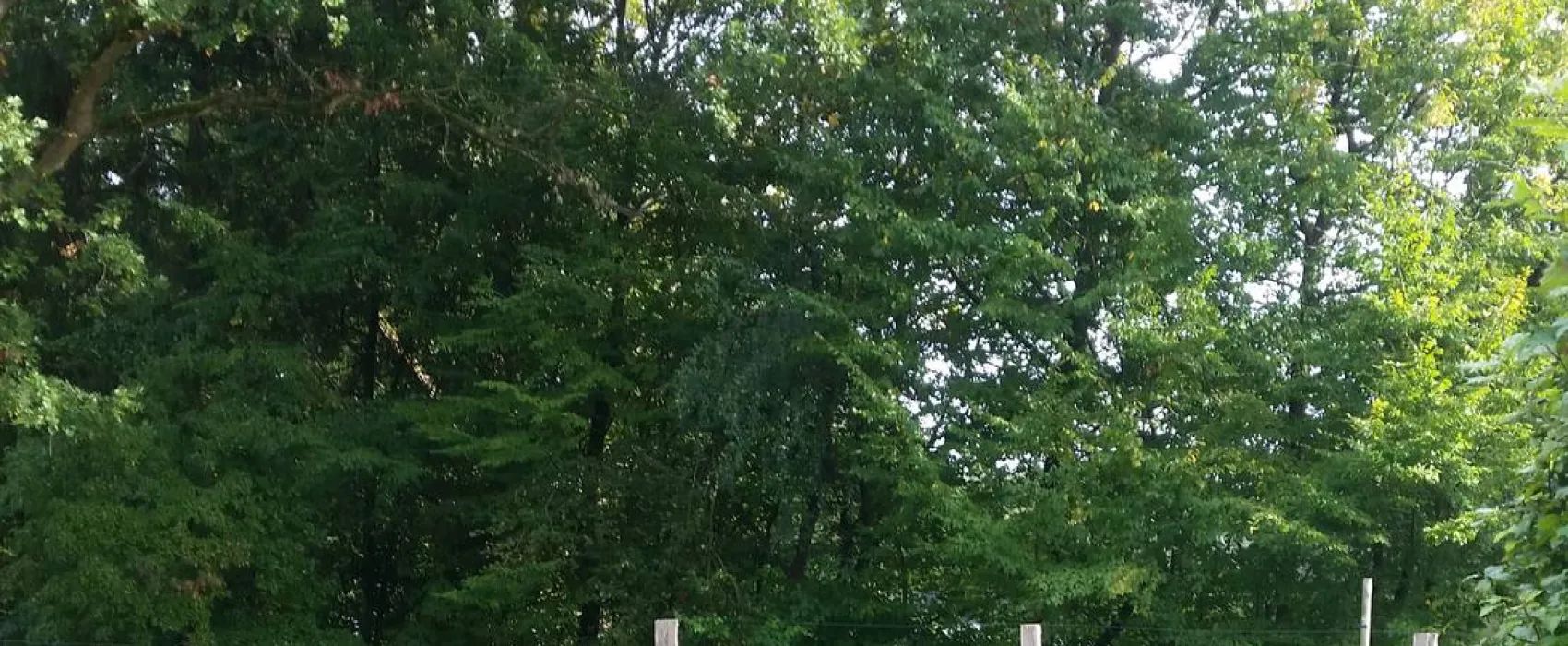 Campingplatz ABC am Großensee b. Hamburg