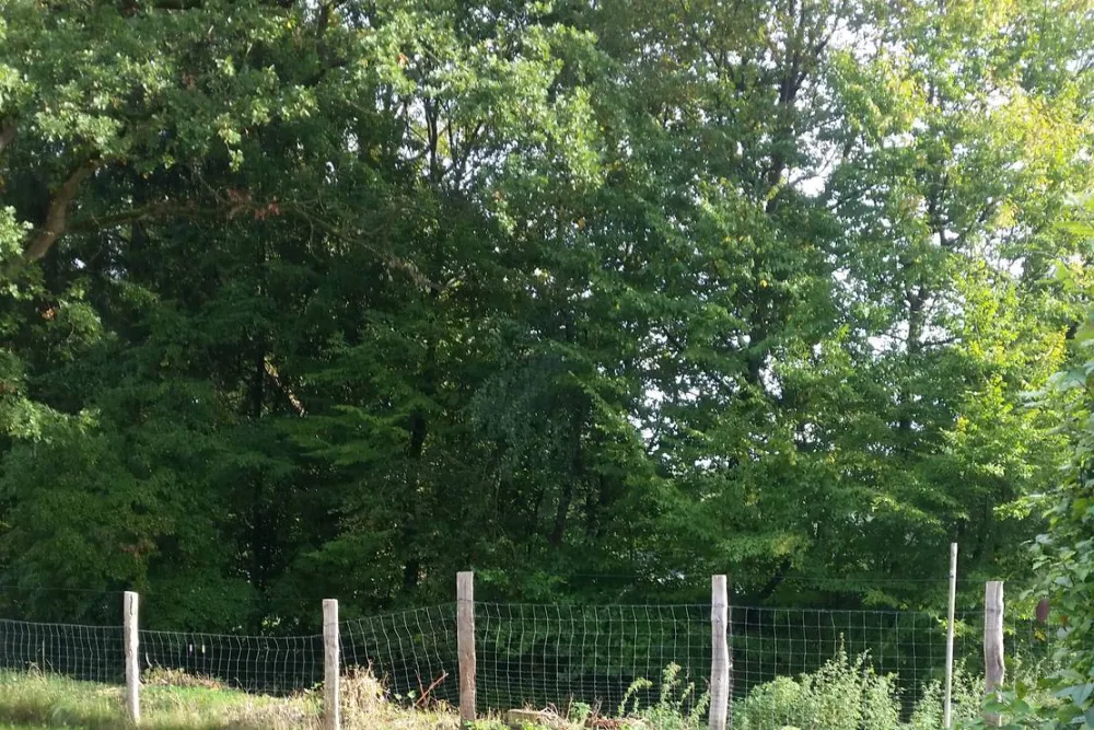 Campingplatz ABC am Großensee b. Hamburg