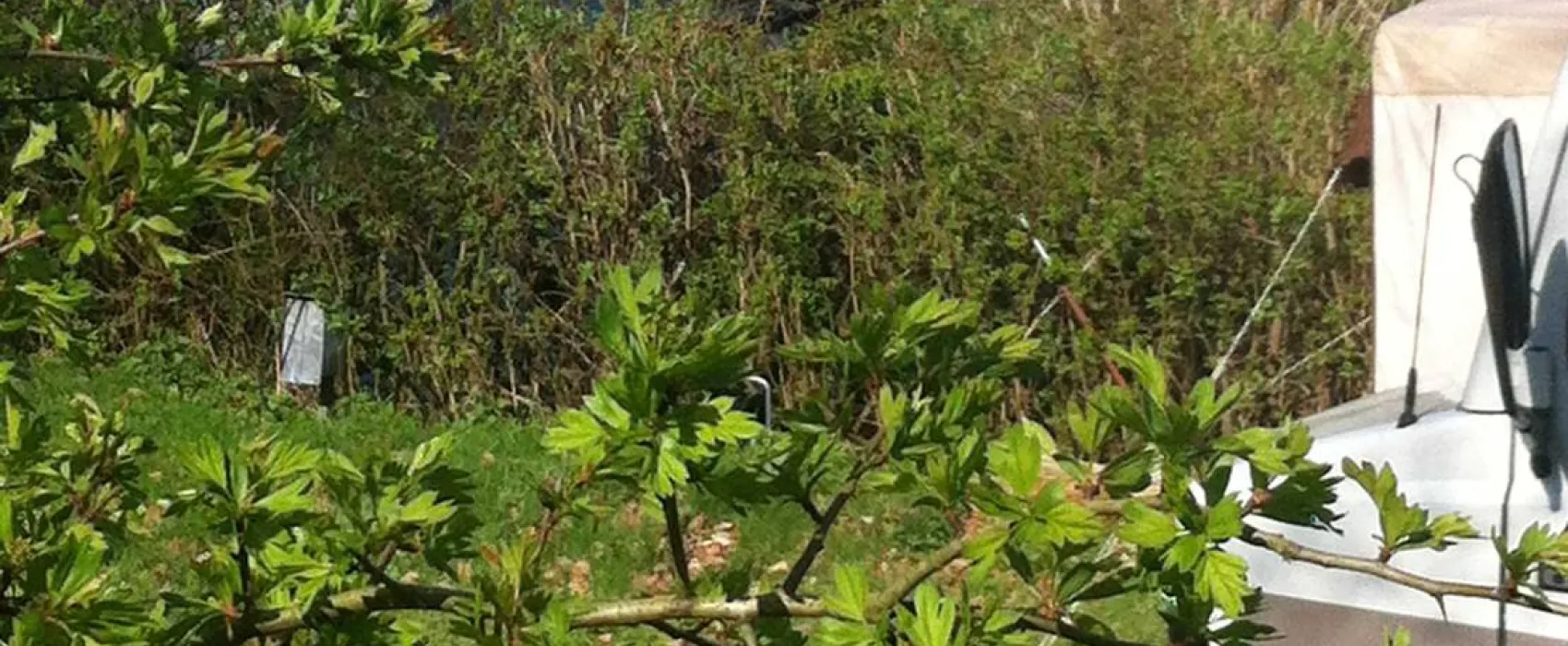 Campingplatz ABC am Großensee b. Hamburg