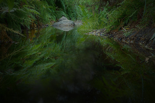 James Campground - Photo 2