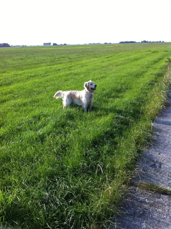 Boerencamping Poelzicht