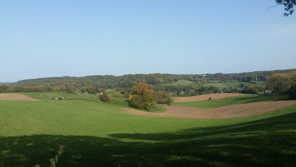 Landschapscamping Alleleijn
