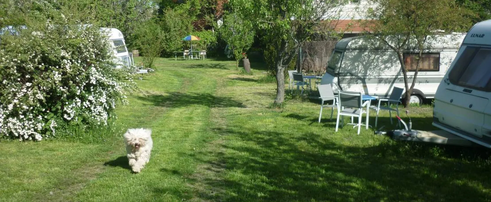 MARGARÉTA-BIA GUEST HOUSE & CAMPING NEAR BUDAPEST