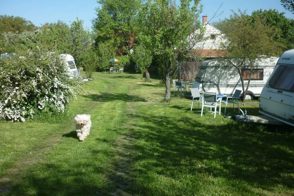 MARGARÉTA-BIA GUEST HOUSE & CAMPING NEAR BUDAPEST