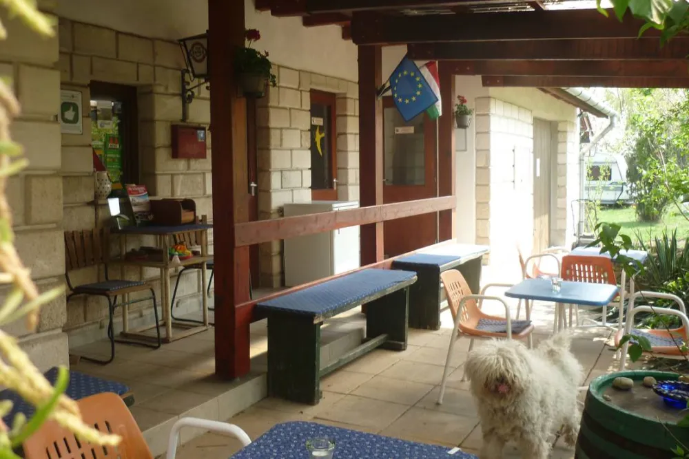 MARGARÉTA-BIA GUEST HOUSE & CAMPING NEAR BUDAPEST