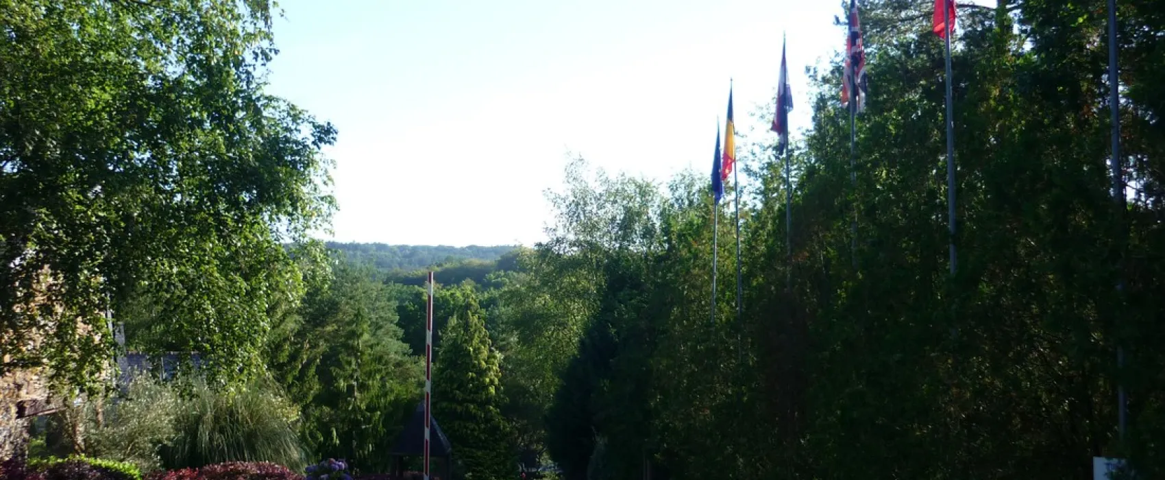 Nautic International