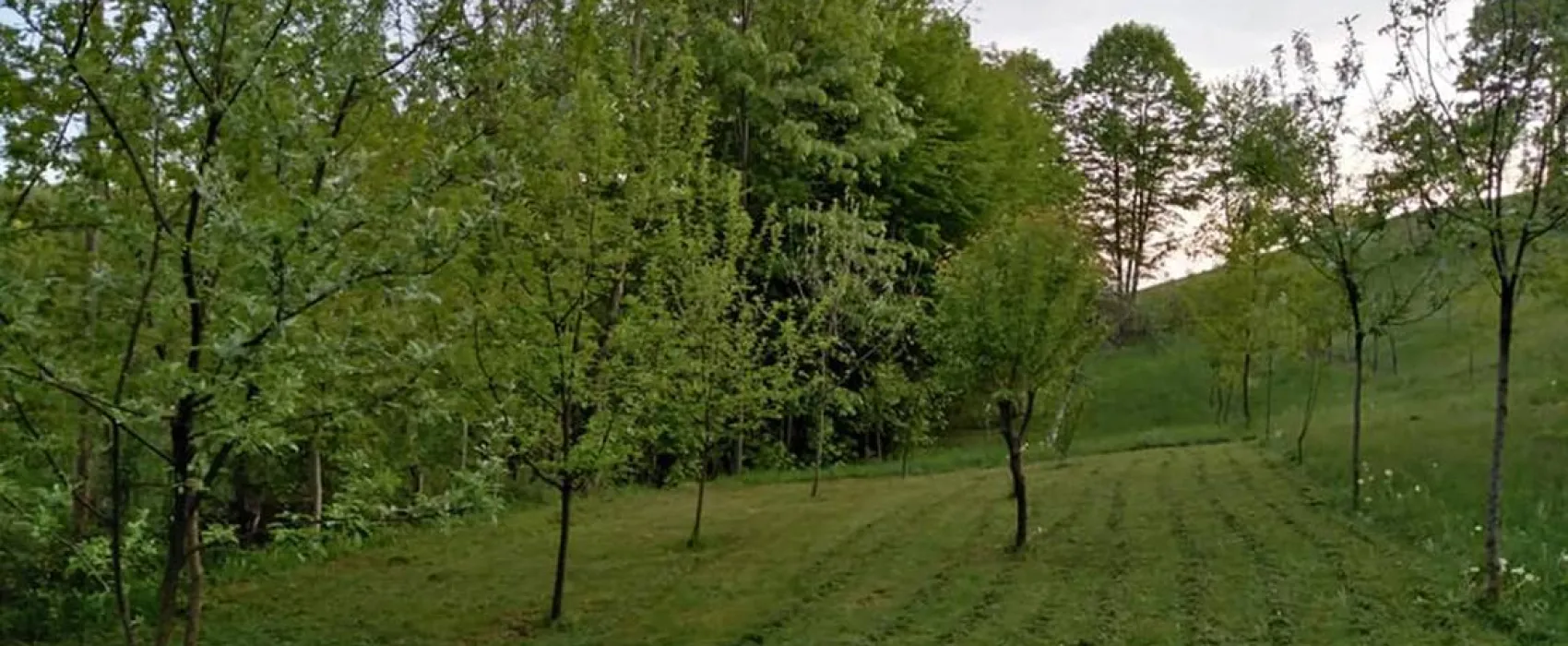 La Sălaşul fermecat