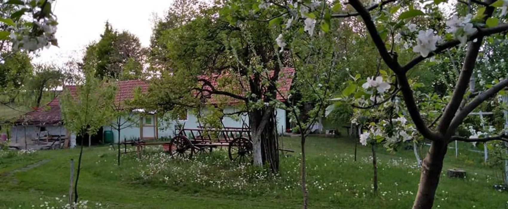 La Sălaşul fermecat