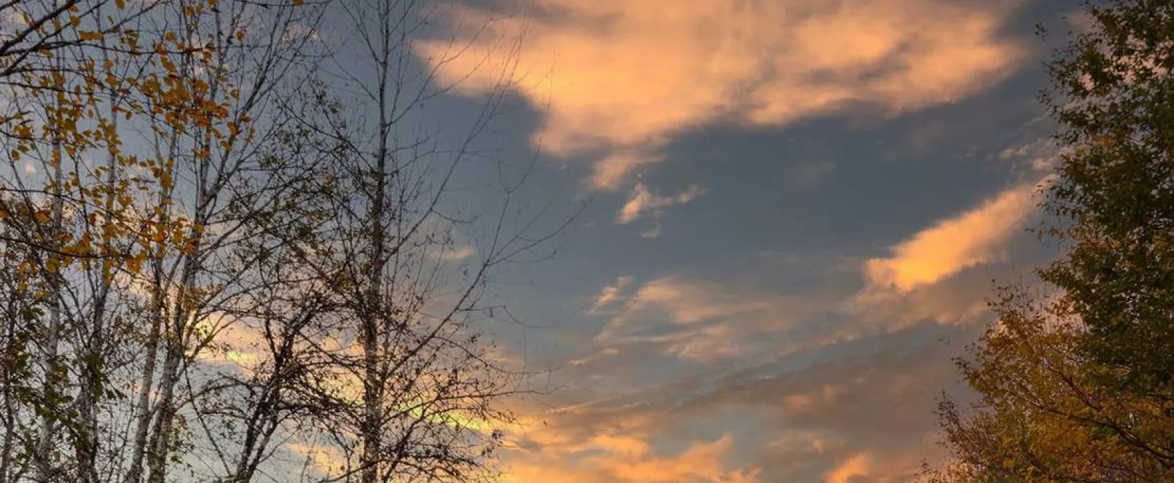 La Sălaşul fermecat