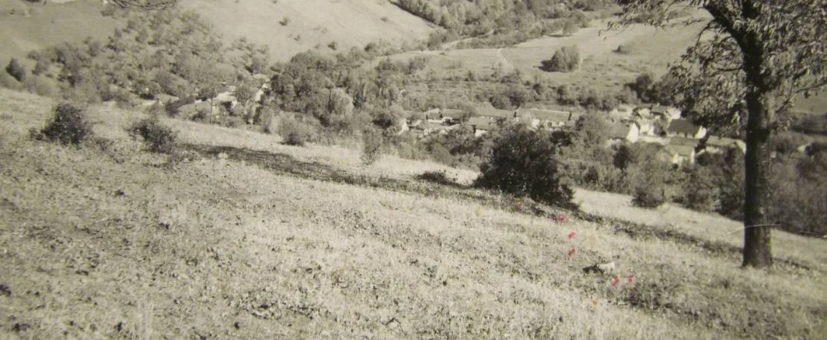 La Sălaşul fermecat