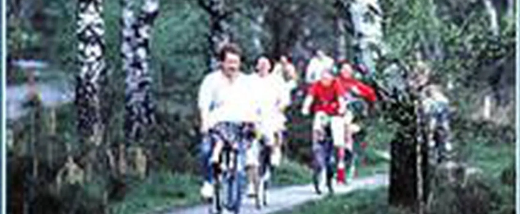 Vakantiepark Dennenhoek