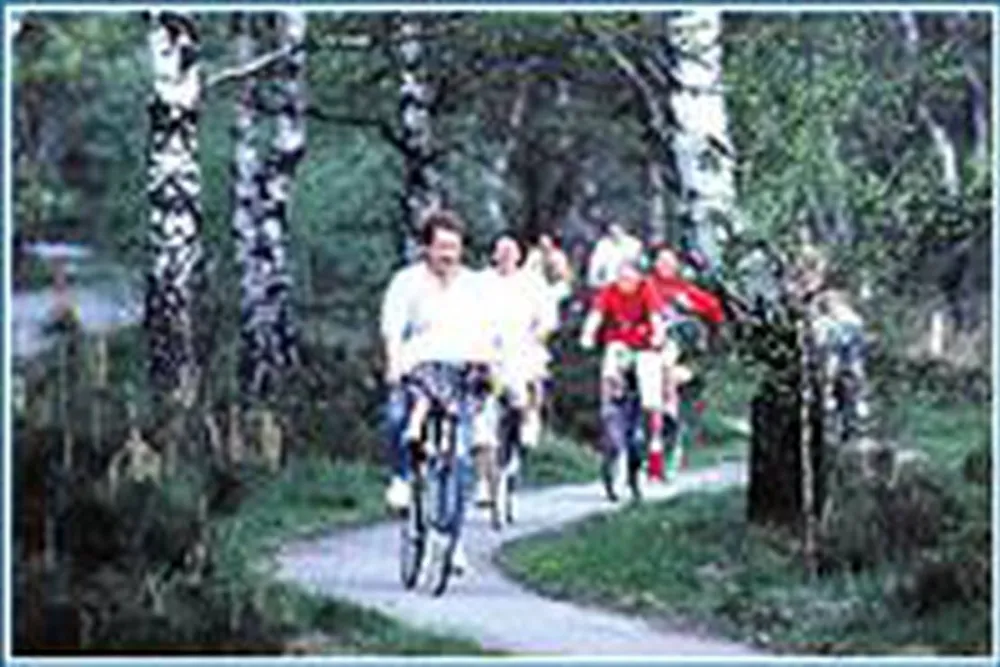 Vakantiepark Dennenhoek