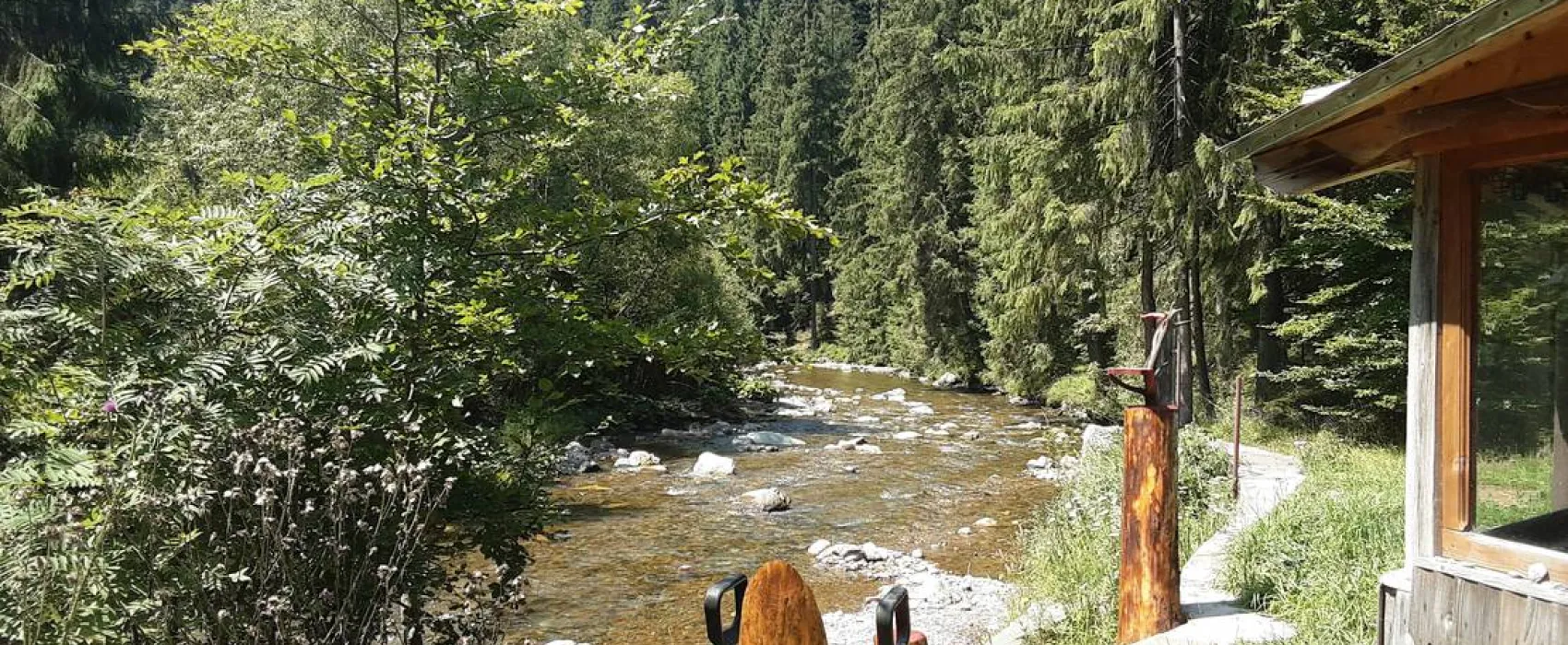Im Westkarpaten-Naturpark, am Ariesch-Fluß.