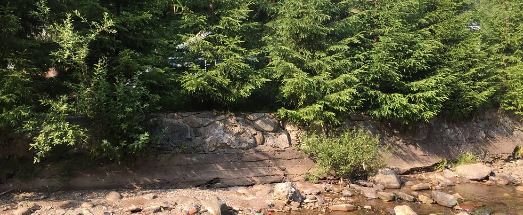 Im Westkarpaten-Naturpark, am Ariesch-Fluß.