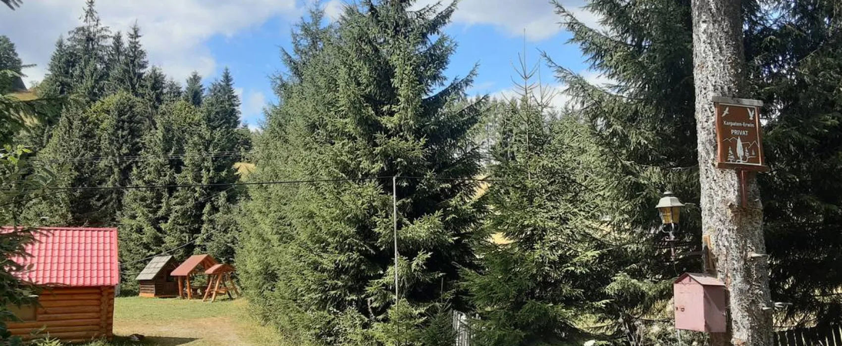 Im Westkarpaten-Naturpark, am Ariesch-Fluß.