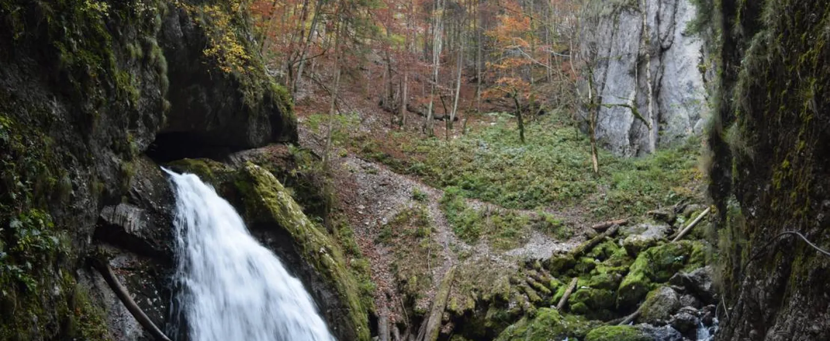 Im Westkarpaten-Naturpark, am Ariesch-Fluß.