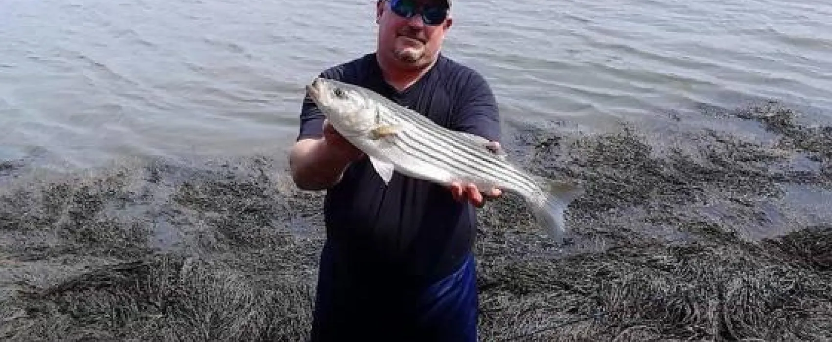 Sagadahoc Bay Campground