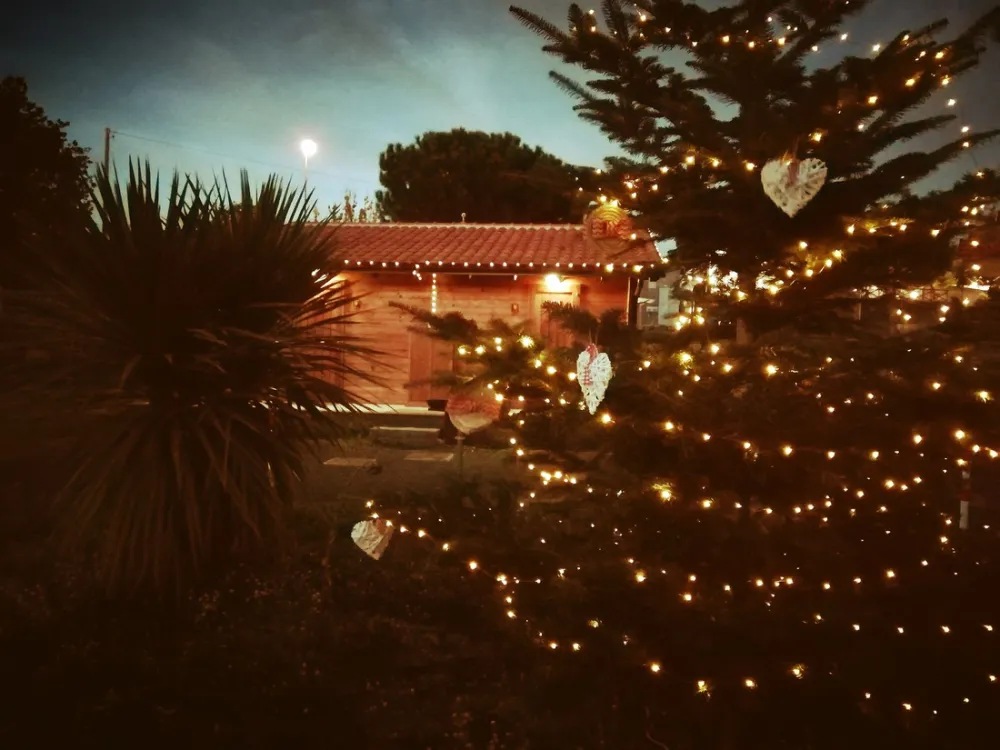 Mons Gibel Camping Park