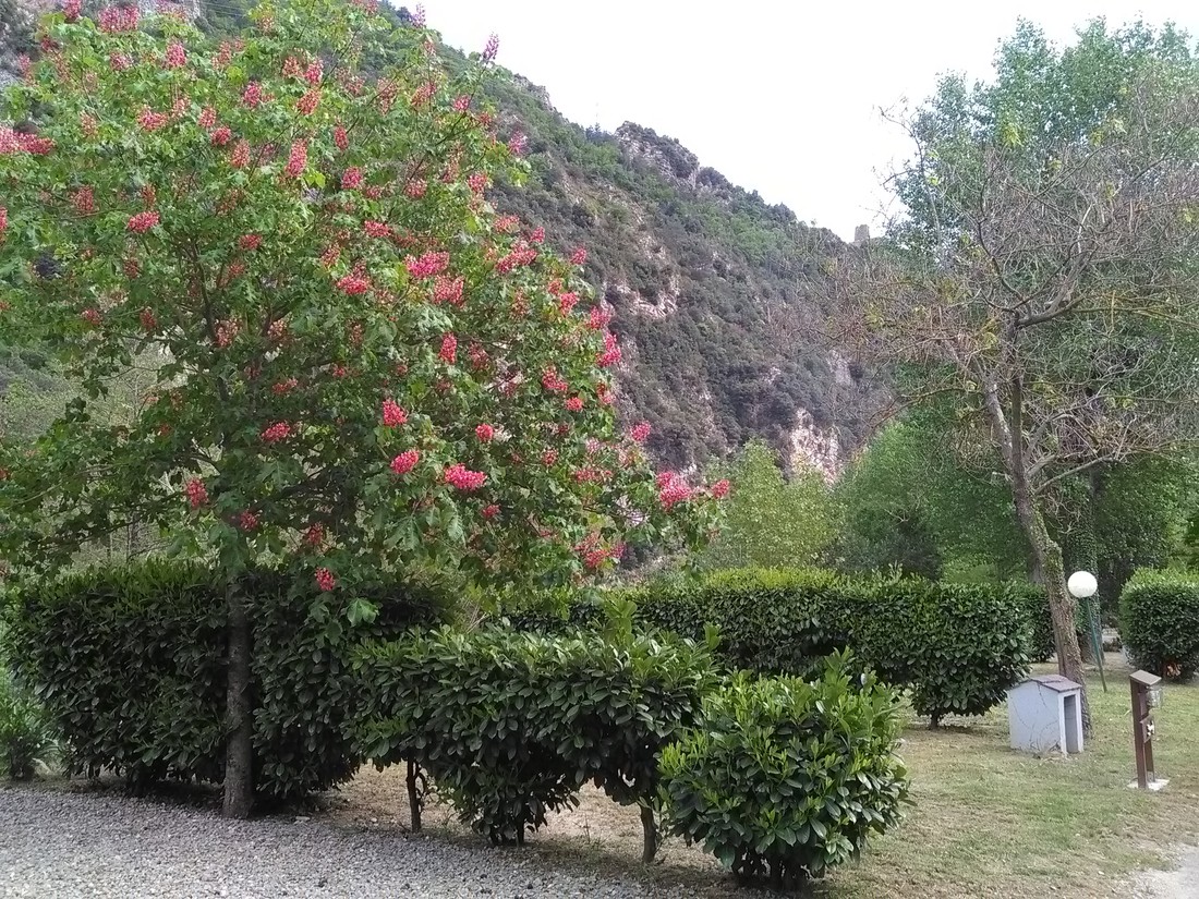 Azur et Merveilles photo 2