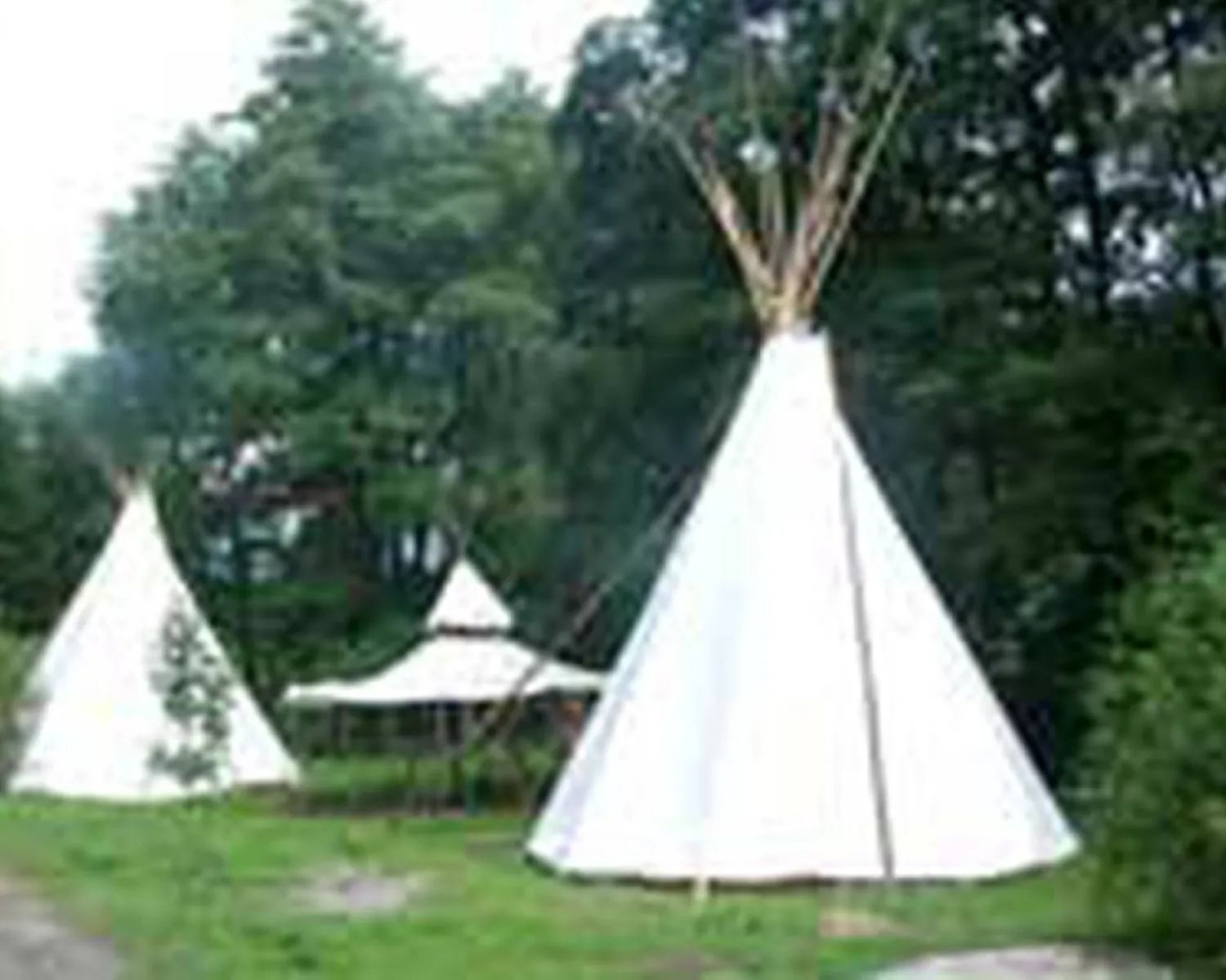 subaru roof tent Roofnest Meadowlark BATTERY:13ah NSA BRANDS shell tent worthy of Freistehende Pergola 500 x