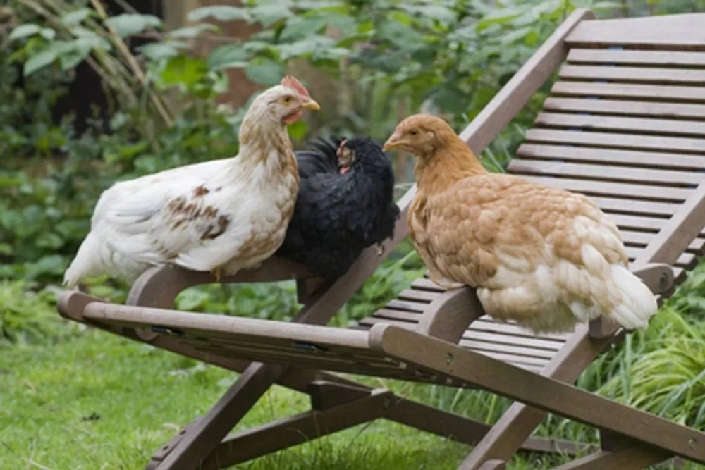 Natur-Camping Hammerbrücke