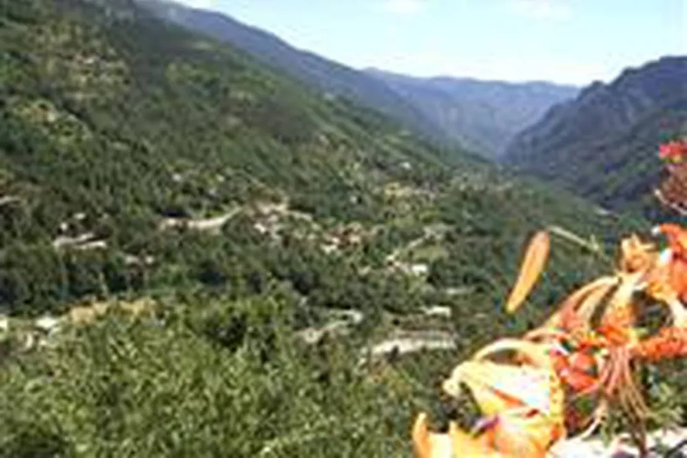 Camping Des Champouns