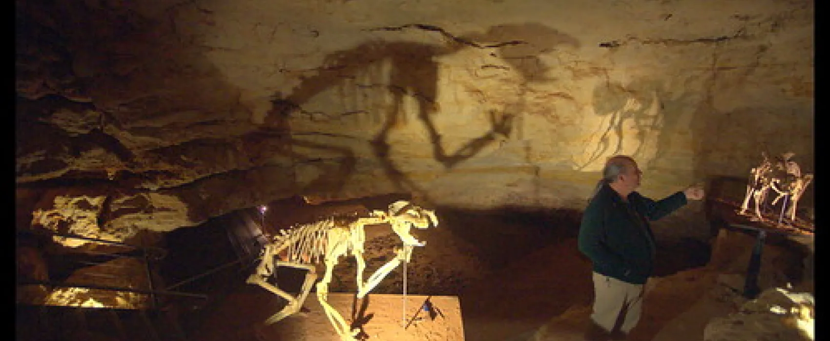 Naracoorte Caves Campsite Campground