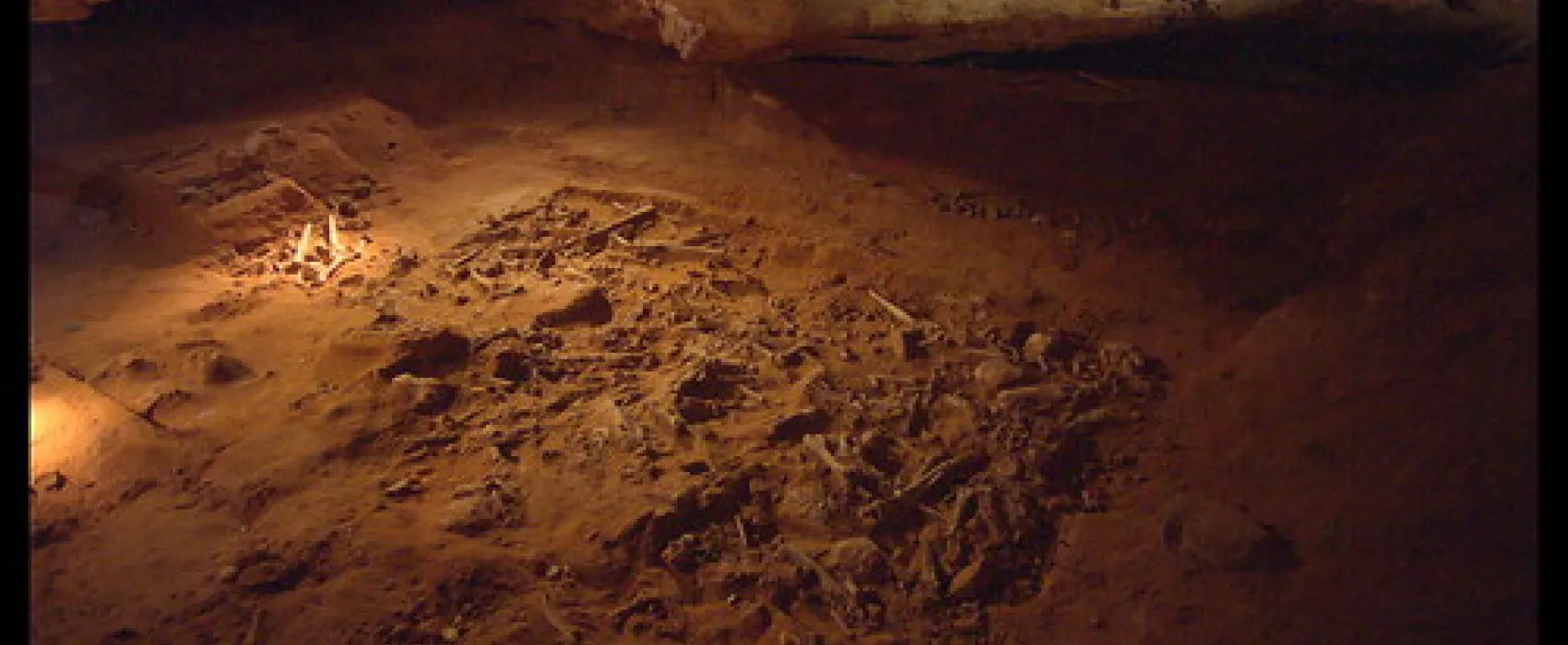 Naracoorte Caves Campsite Campground