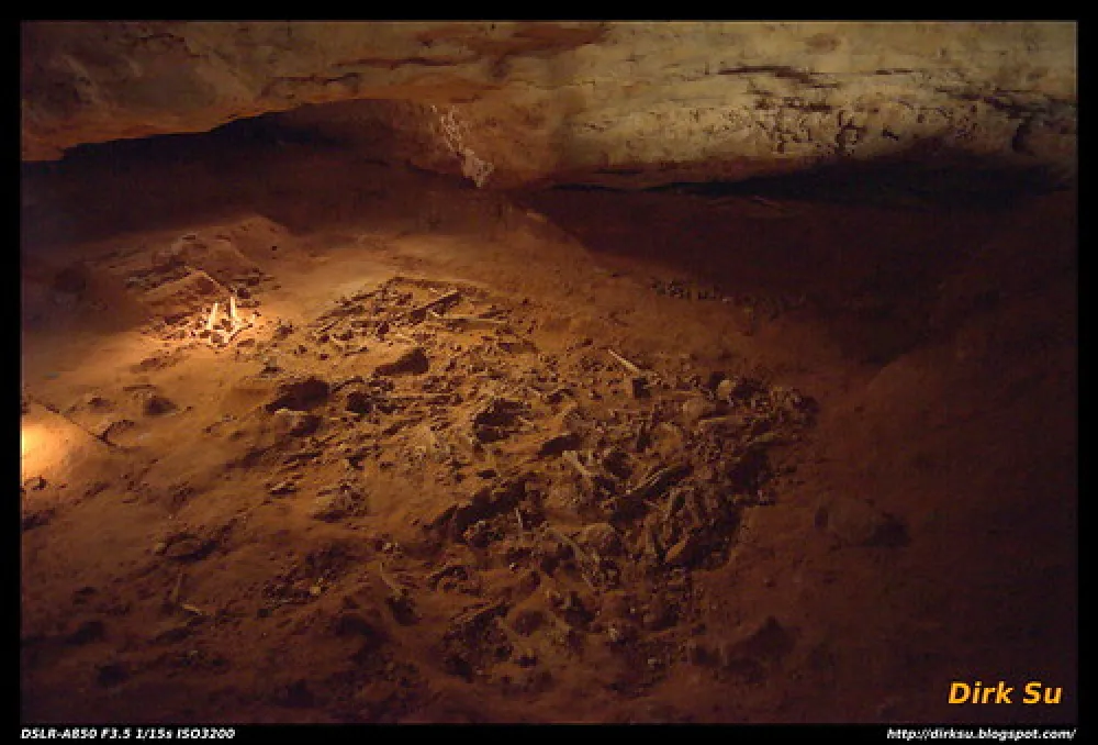 Naracoorte Caves Campsite Campground