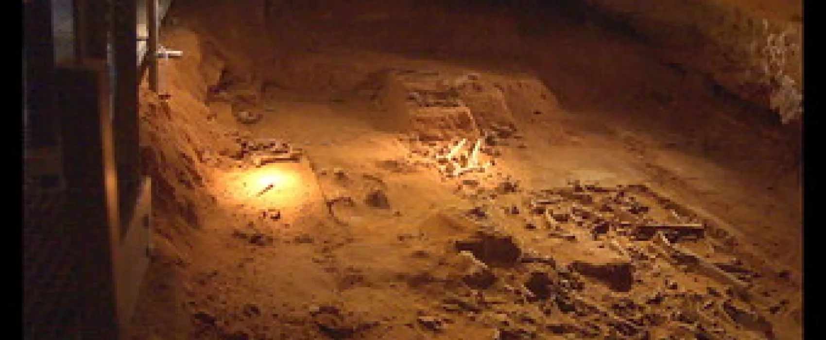 Naracoorte Caves Campsite Campground