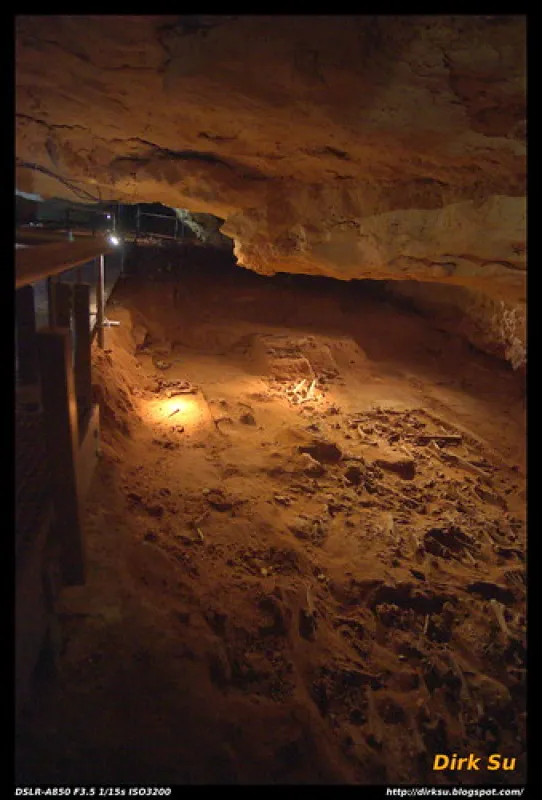 Naracoorte Caves Campsite Campground