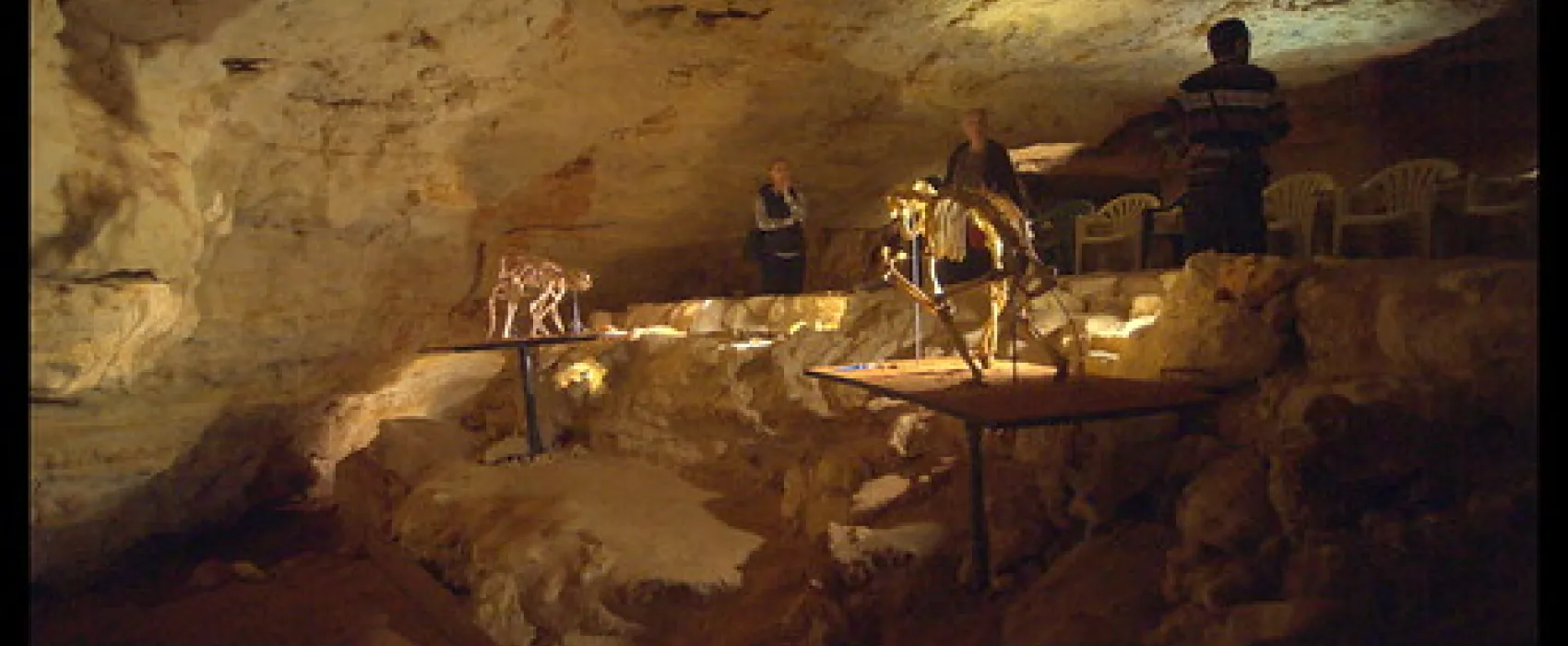 Naracoorte Caves Campsite Campground