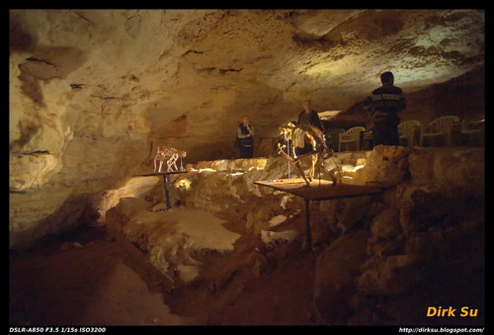 Naracoorte Caves Campsite Campground