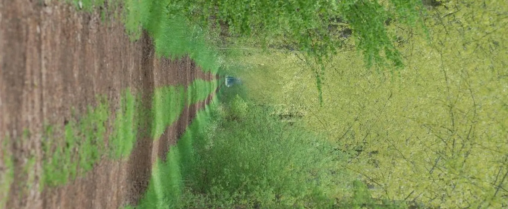 Minicamping De Wolboom