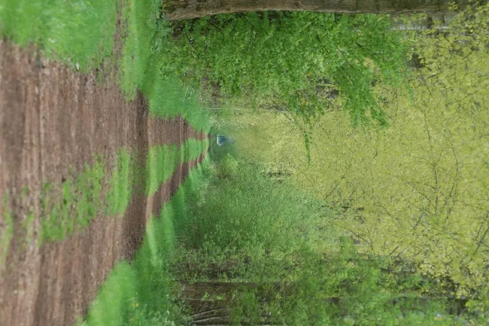 Minicamping De Wolboom