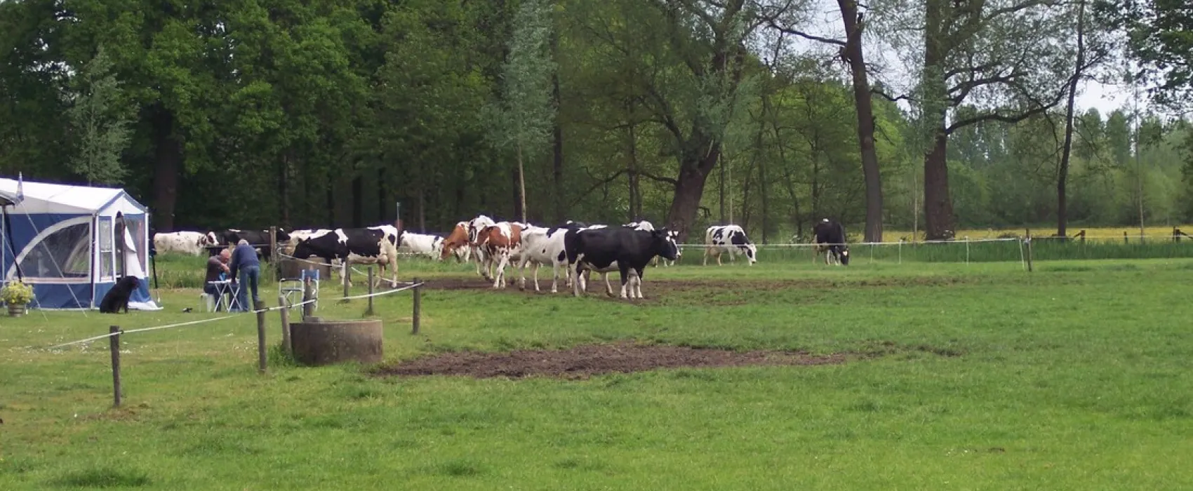 Minicamping De Wolboom