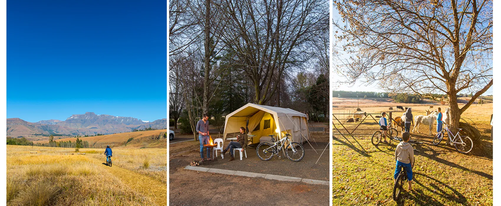 Mountain Splendour Eco-Resort