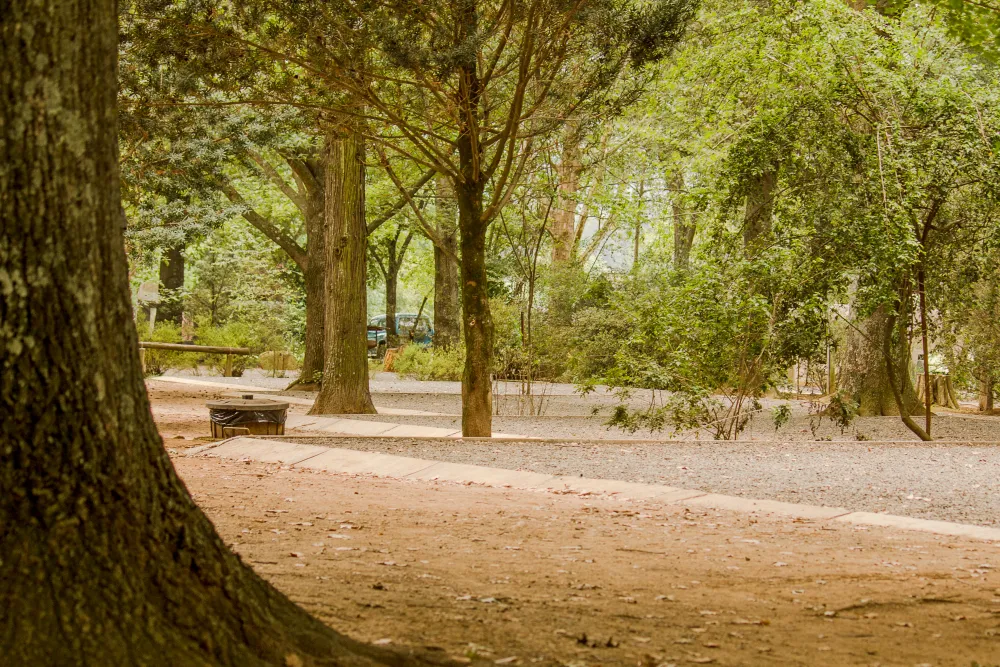 Mountain Splendour Eco-Resort