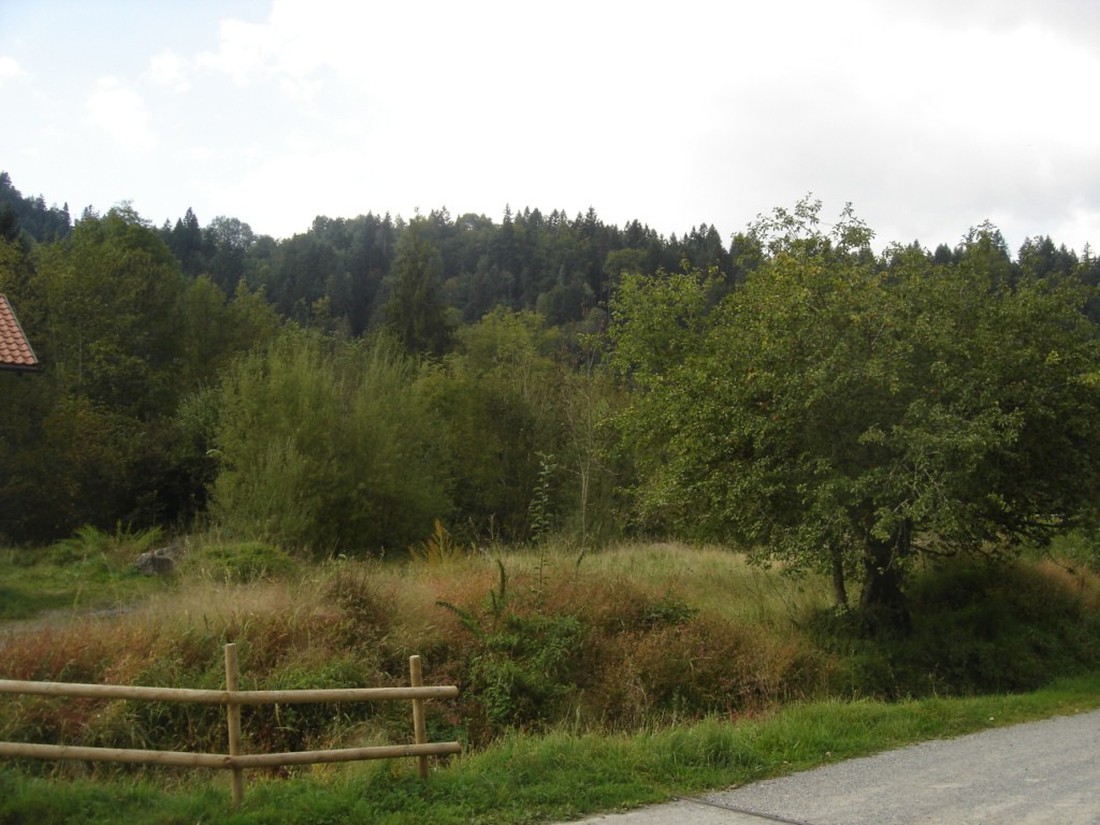 Bregrenzer Ach photo 5